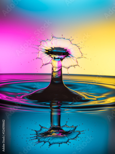 Obraz na płótnie Glass Flower and reflection liquid art w salonie