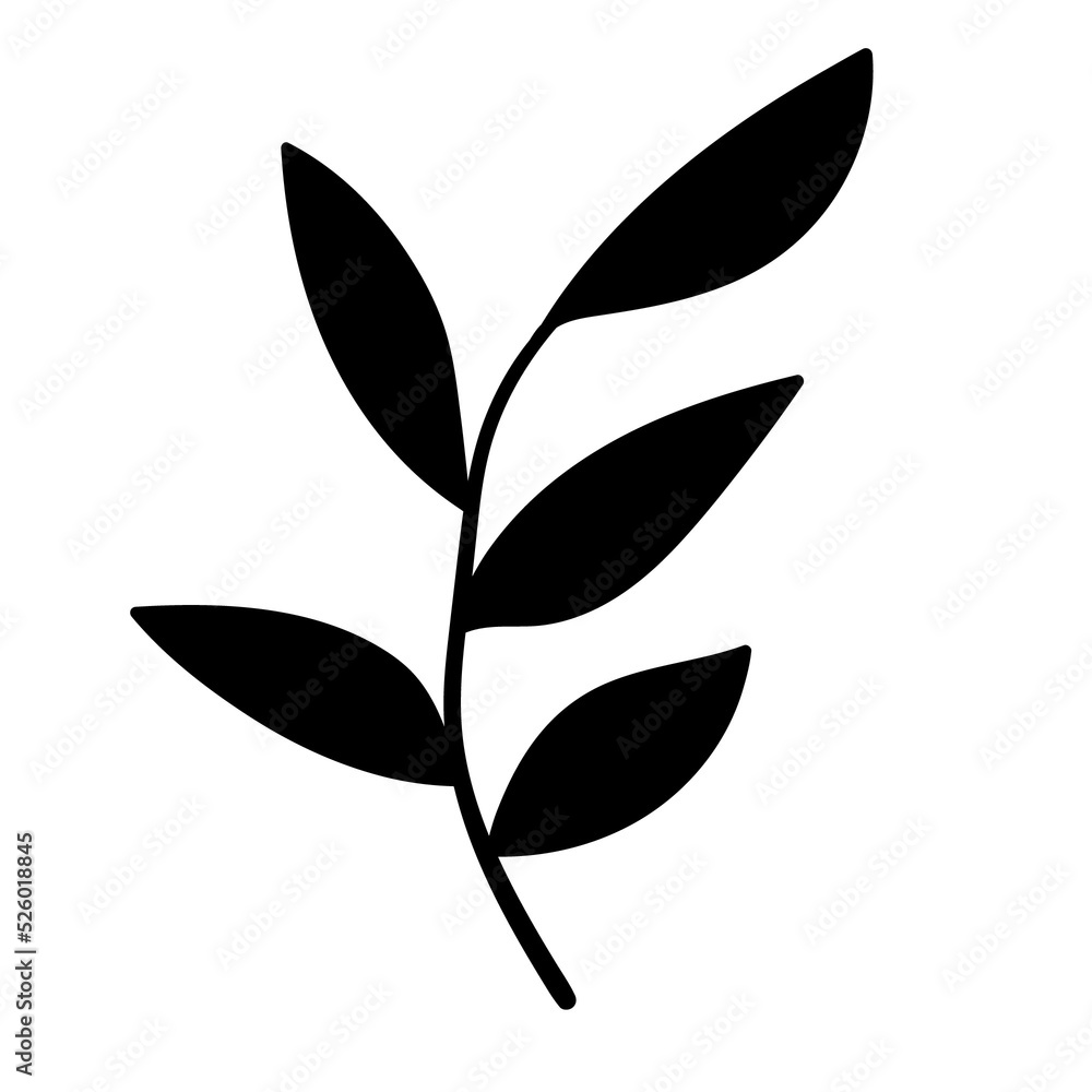 Fototapeta premium botanical line art floral leaves, plants. Hand drawn sketch branches isolated