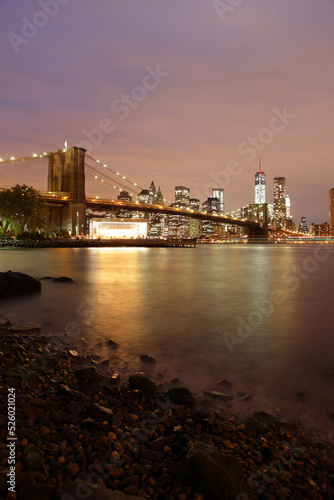 Brooklyn bridge and NYC skyline  New York City  USA