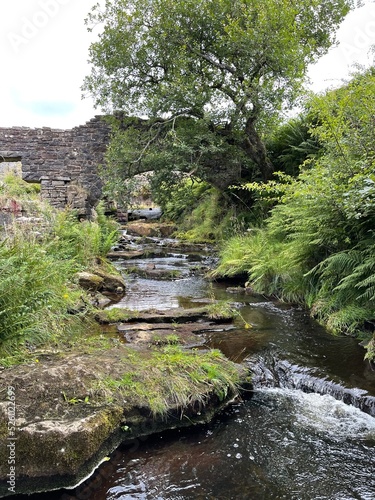 Old stone ruins surrounded by trees and countryside. Taken in Lancashire England. 