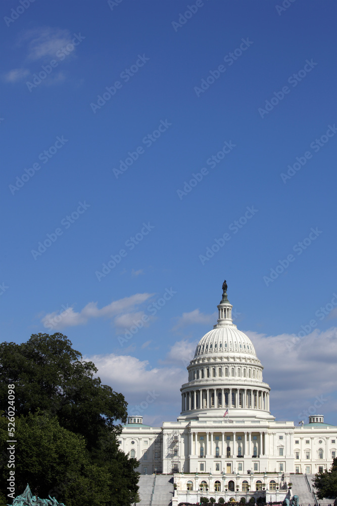 Naklejka premium The dome of the United States Capitol, Washington D.C., USA