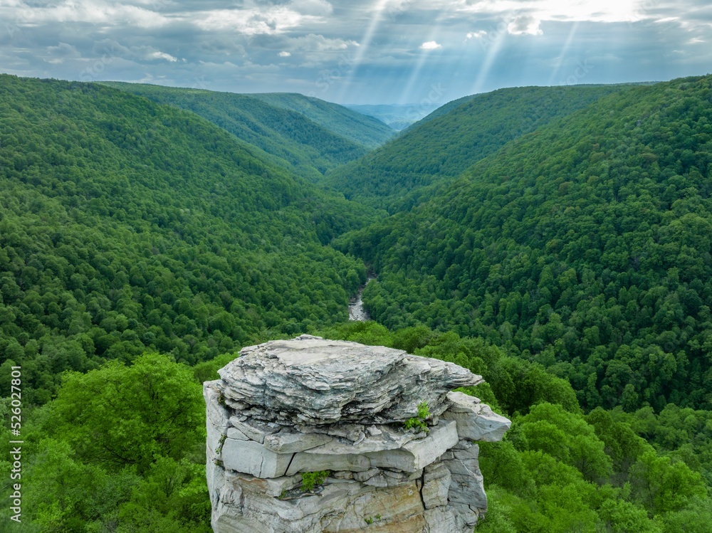 Breathtaking viewpoint overlooking Blackwater Canyon in Davis, West Virginia Stock Photo Adobe