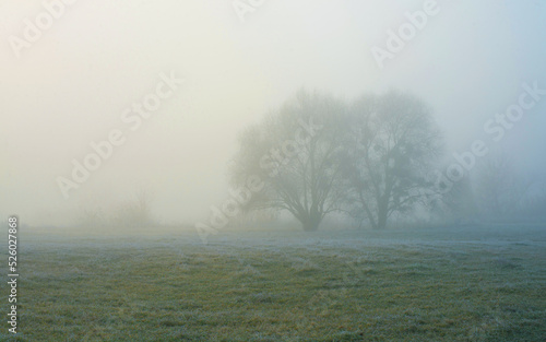 Foggy landscape. Morning mist over the plain. Frost on the surface of the grass.