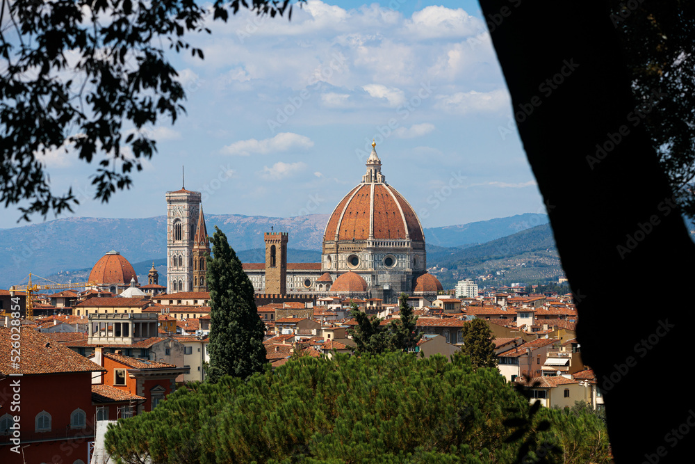 Obraz premium Beautiful view of the picturesque city of Florence and the Basilica di Santa Maria del Fiore (Basilica of Saint Mary of the Flower). Florence, Central Italy, Tuscany region