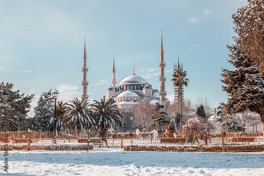 Obraz premium Beautiful shot of a mosque during winter in Istanbul, Turkey