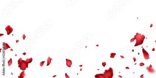 Fototapeta Naklejka Na Ścianę i Meble -  falling rose petals background vector design 3D illustration