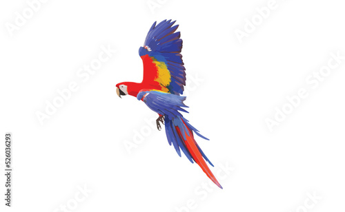 Colorful macaw parrot flying isolated on white. Vector illustration