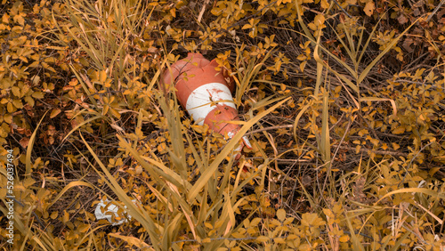 Quadro em tela An old and broken portly orange cone lies in the yellowed autumn foliage outside the road