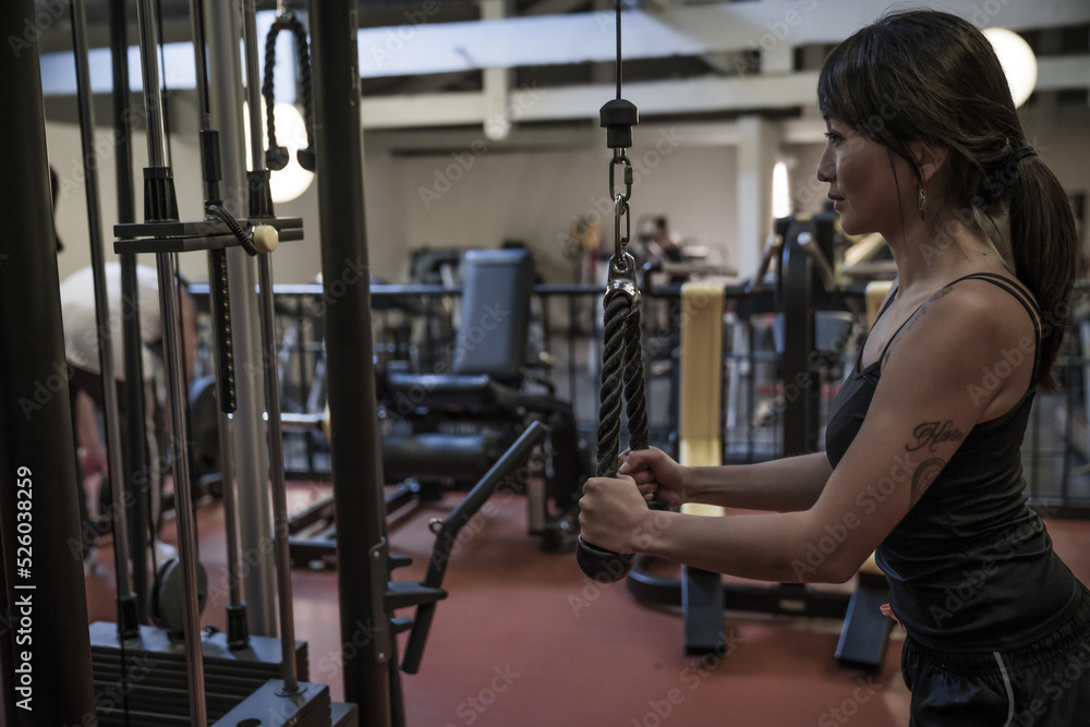 Fototapeta premium woman exercising with dumbbells