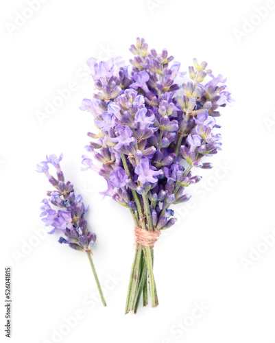 Lavender flowers closeup on white backgrounds