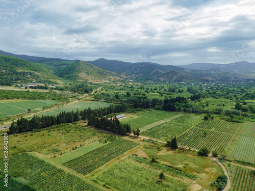 Beautiful incredible view from a drone of grape fields against the background of mountains. Beautiful landscape of vineyards on a bright summer day. © yaroslav1986