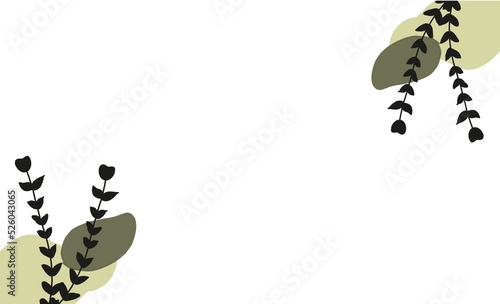 butterfly on a white background
