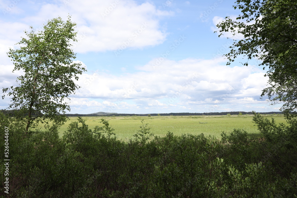 beautiful landscape in Store mosse national Park, Sweden, Europe beautiful landscape in Store mosse national Park, Sweden, Europe