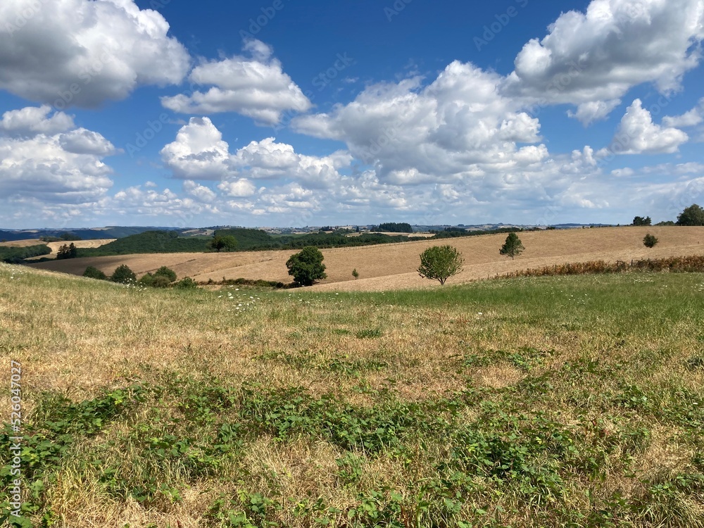 Obraz premium Golinhac - Conques