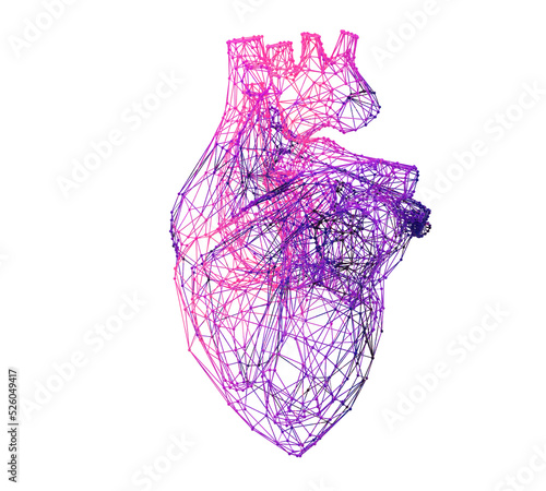 Purple human heart. 3d polygon graphics. clipping path	