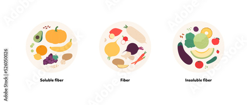 Food guide for healthy eating concept. Vector flat design various soluble and insoluble fiber sources products colorful symbol in circle frames isolated on white background.