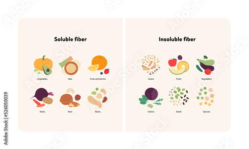 Food guide for healthy eating concept. Vector flat design various soluble and insoluble colorful fiber sources products symbol in frame with labeled text isolated on white background. photo