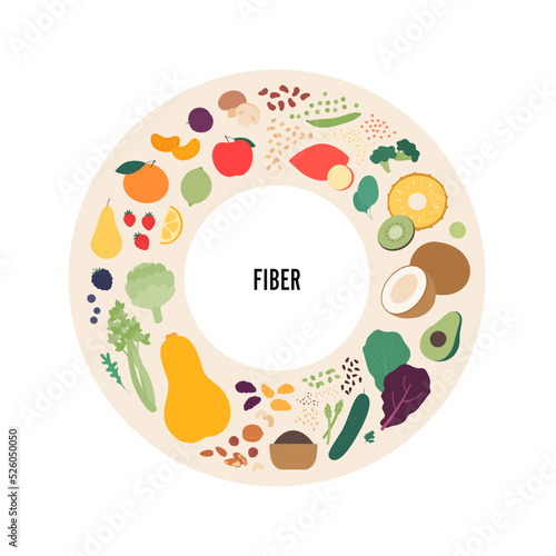 Food illustration. Vector flat design variation of different fiber sources product colorful symbol icon in circle frame isolated on white background.