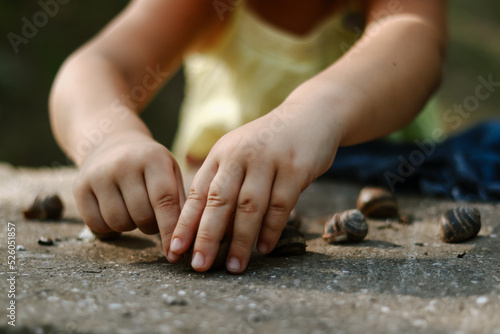 Moments of childhood. The child holds snails in his hands. Copy space. Children's outdoor games. © Anastasiia K.