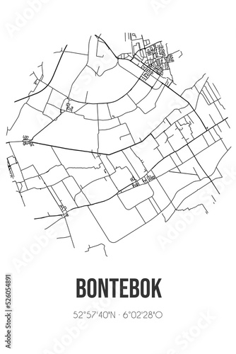 Abstract street map of Bontebok located in Fryslan municipality of Heerenveen. City map with lines photo