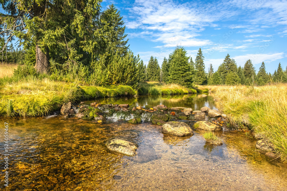 Beautiful scenery of summer landscape with creek and forest Beautiful scenery of summer landscape with creek and forest