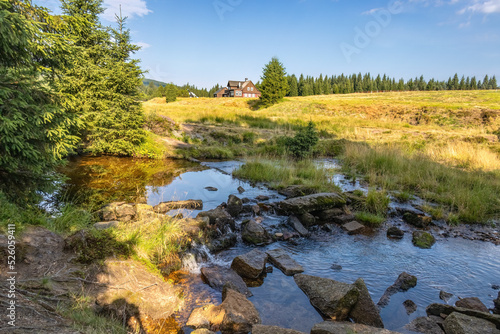 Beautiful summer morning landscape with creek and cottage