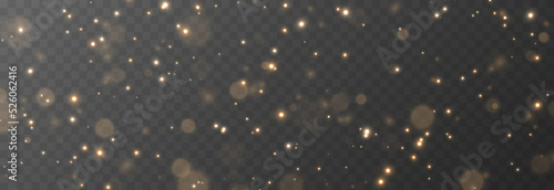 Vector magic glow. Sparkling light, sparkle dust png. Sparkling magical dust. Christmas light.