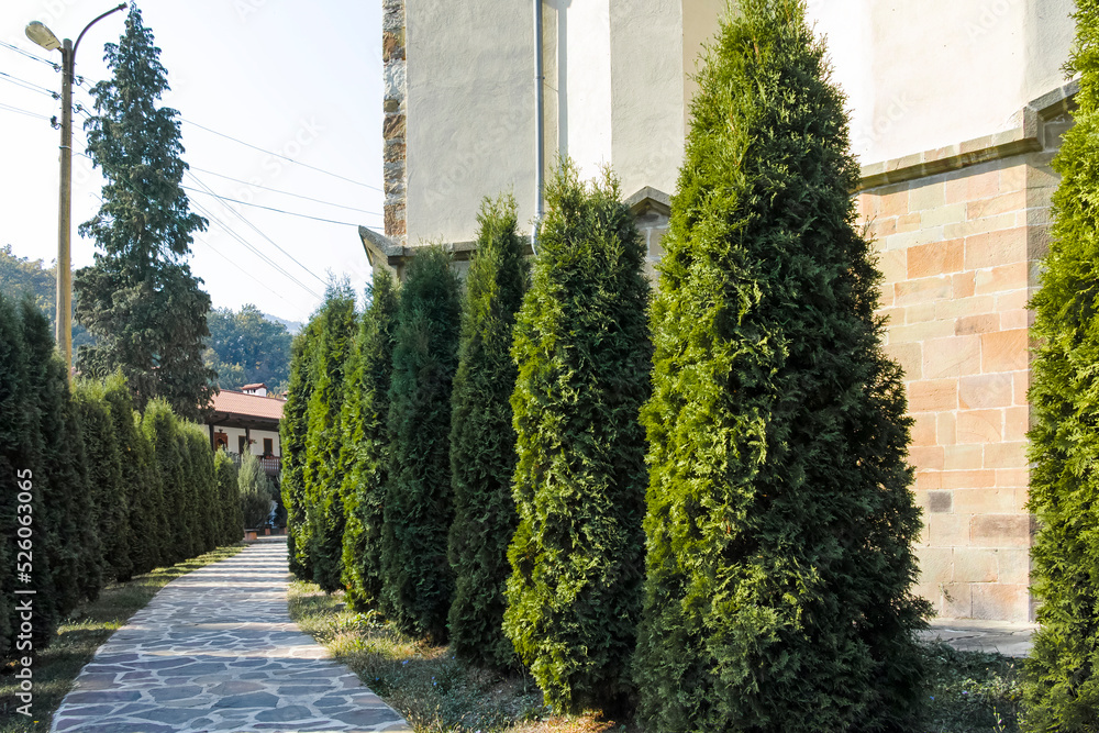 Obraz premium Medieval Lopushna Monastery of Saint John the Forerunner, Bulgaria