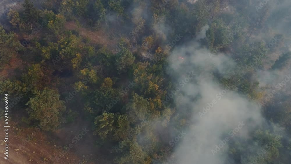 Fire in the forest aerial view. Cinematic aerial shot fire in the woods. Fire in the forest aerial view. Cinematic aerial shot fire in the woods.
