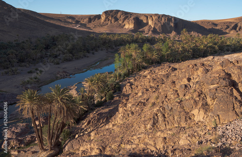 Panoramic view of the impressive Oasis De Fint in the desert near Ourzazate in Morocco, North Africa