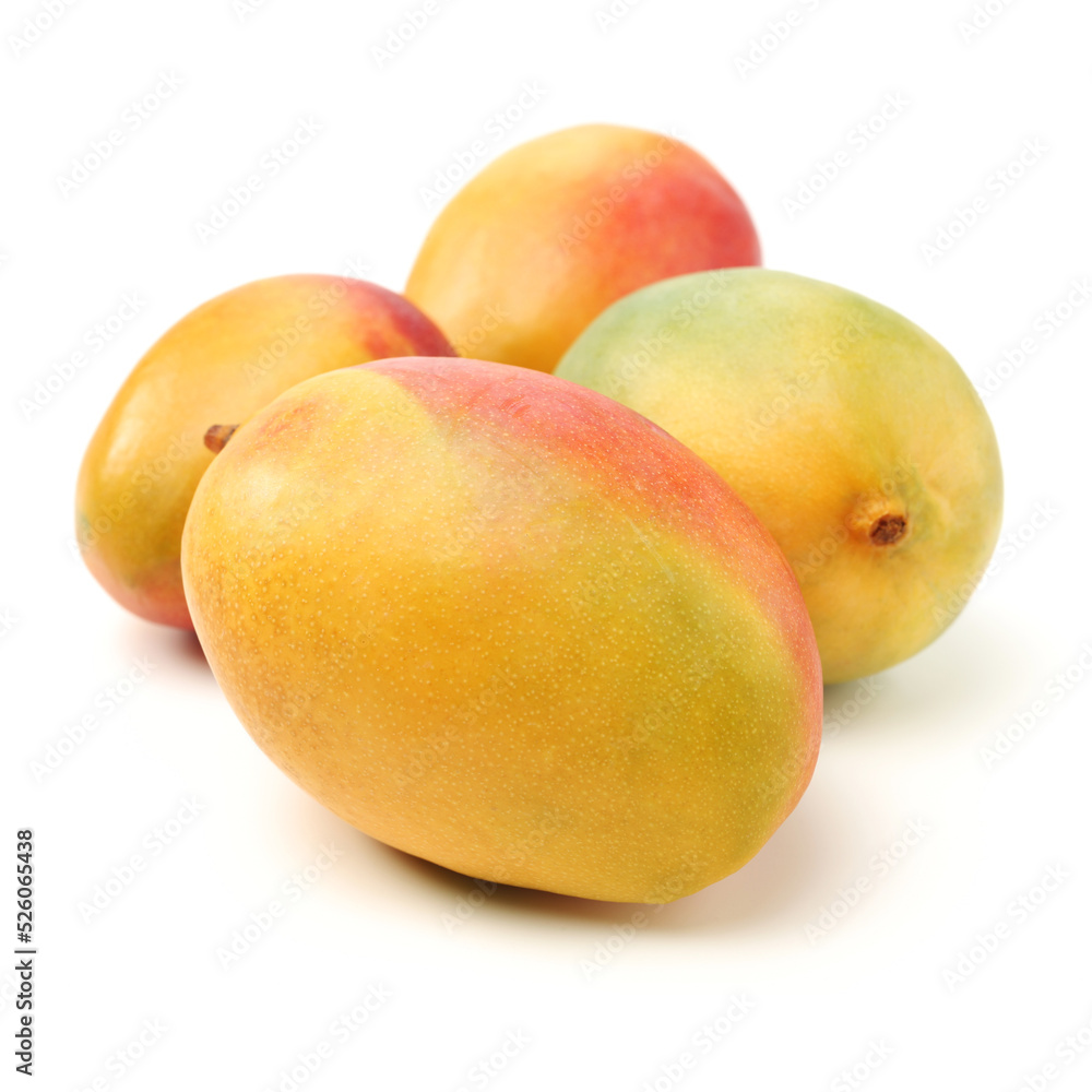 mangos on a white background mangos on a white background