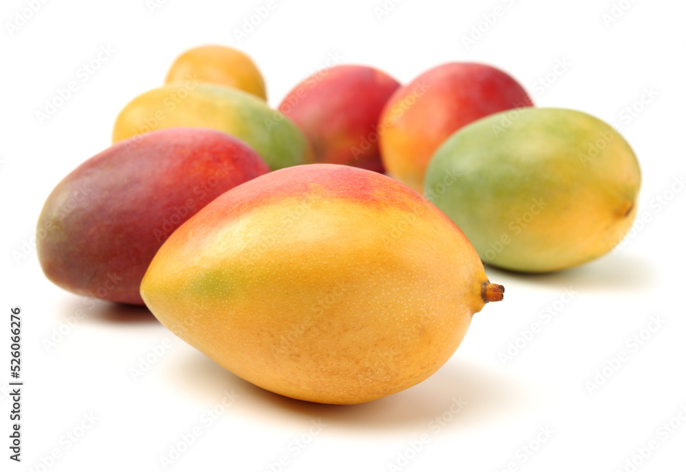 mangos on a white background mangos on a white background