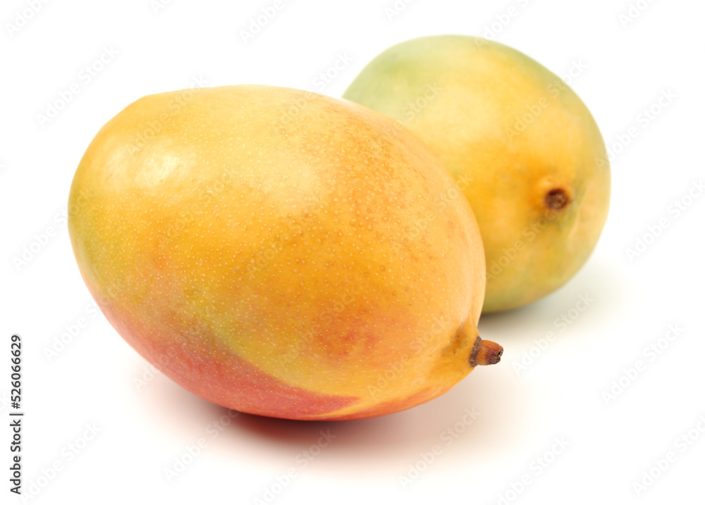 mangos on a white background mangos on a white background