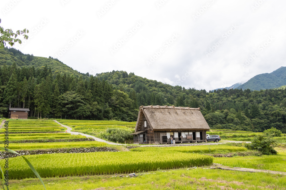 白川郷 白川郷