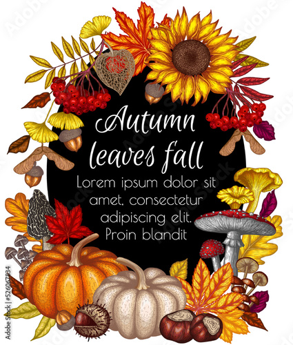 Vector illustration of autumn banner template. Maple leaf, chestnut, rowan, fallen leaves, berries, acorns, physalis, maple seeds, sunflower, pumpkin, ginkgo