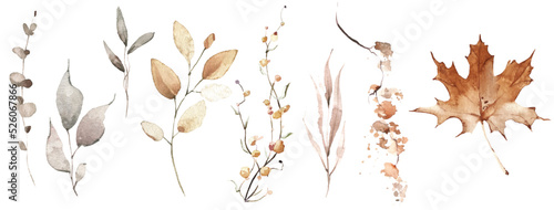 Watercolor floral set of orange and gray autumn leaves, branches, twigs. Vector traced isolated greenery illustration. 