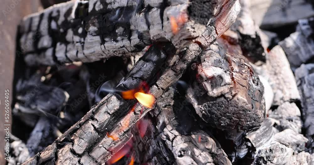 Burning logs in a campfire while cooking and warming, logs from trees burning in the flames of a fire at a picnic Burning logs in a campfire while cooking and warming, logs from trees burning in the flames of a fire at a picnic