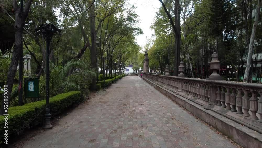 Low Shot Over Long Path In Jardin De Santiago, Decorated With Green Trees, Tlatelolco, Mexico City Low Shot Over Long Path In Jardin De Santiago, Decorated With Green Trees, Tlatelolco, Mexico City