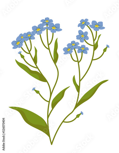 Bush of myosotis. Wildflower in cartoon style.