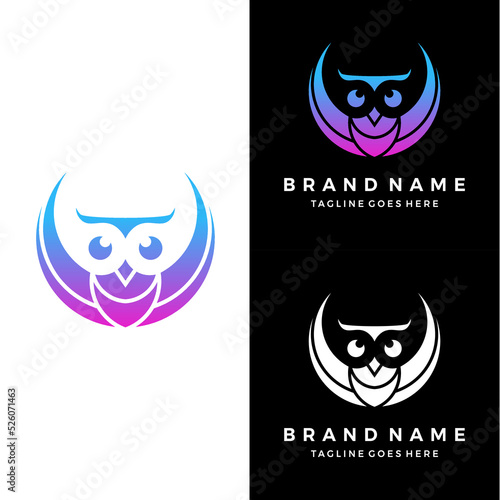 Flat owl logo design vector