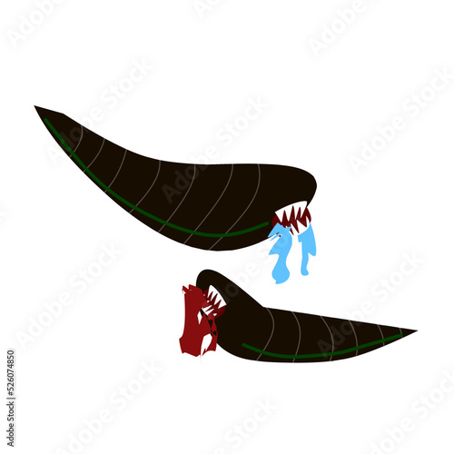 dangerous leech vector illustration