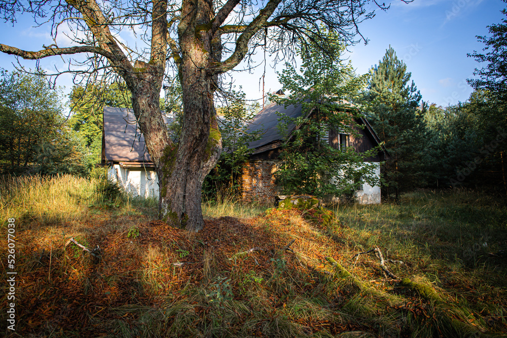 Abandoned and defunct house in the middle of forests. Abandoned and defunct house in the middle of forests.