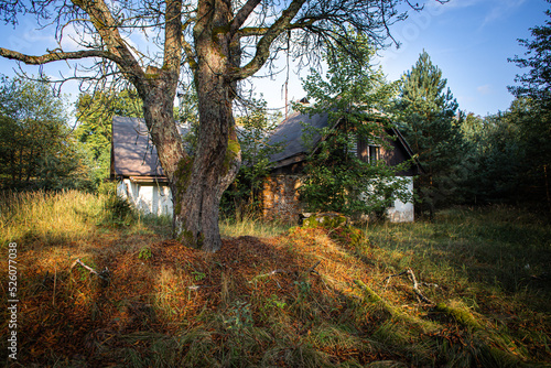 Schilderij op canvas Abandoned and defunct house in the middle of forests.