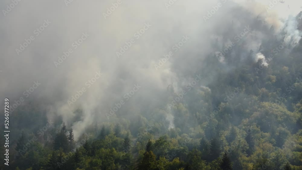 Fire in the forest aerial view. Cinematic aerial shot fire in the woods. Fire in the forest aerial view. Cinematic aerial shot fire in the woods.