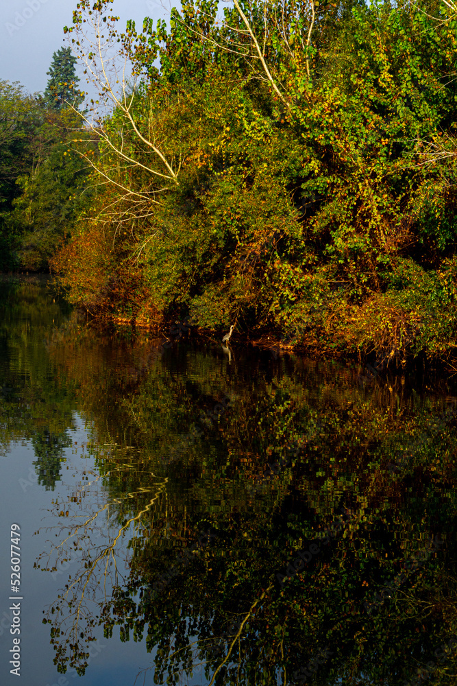 autumn and river autumn and river