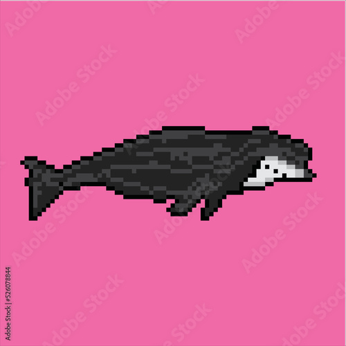 whale character with pixel art style