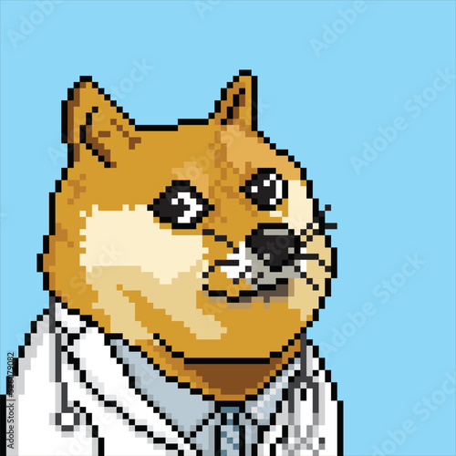 illustration of a dog in doctor clothes