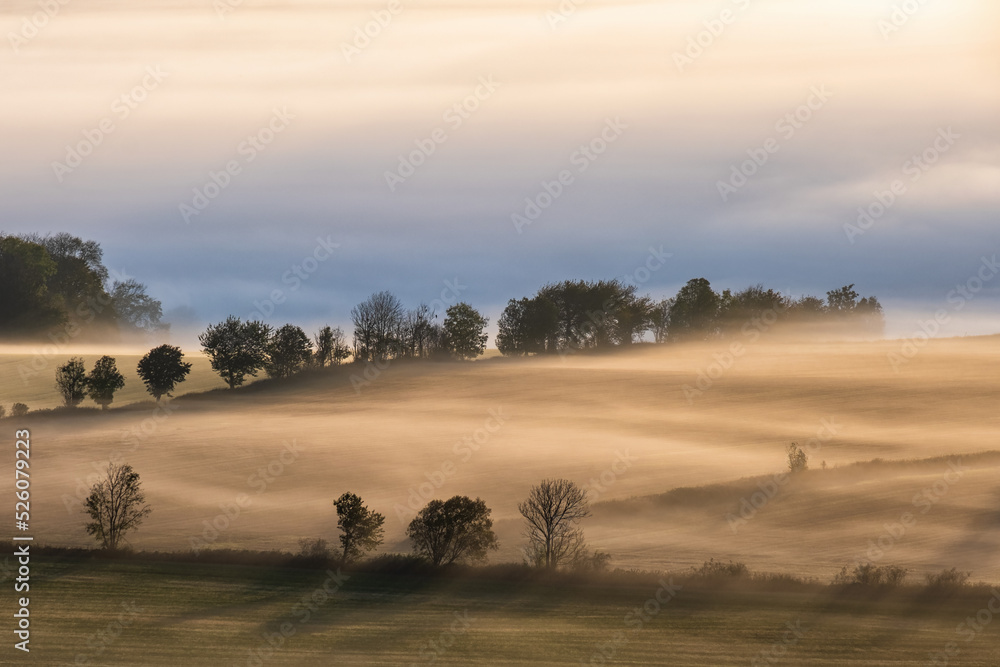 Obraz premium Landscape view a misty morning in the countryside