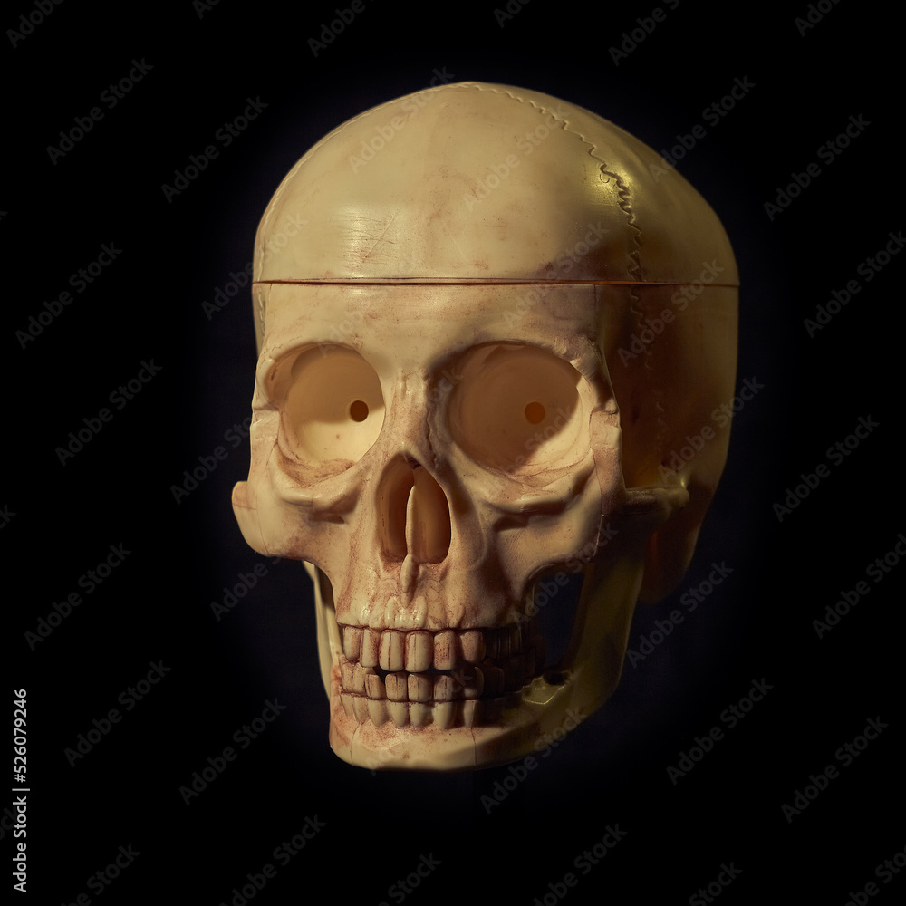 Fototapeta premium Damaged Dirty and bloody skull head on black background