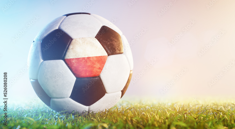 Football soccer ball with flag of Poland on grass